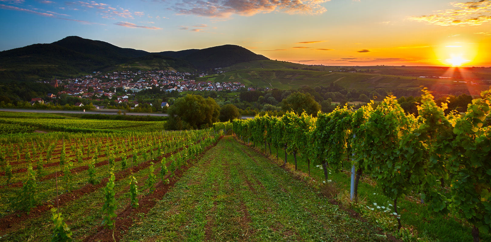 Torten nach Landau bestellen!