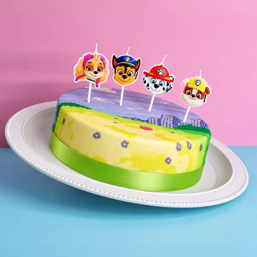 Paw Patrol® på färgglad ängtårta