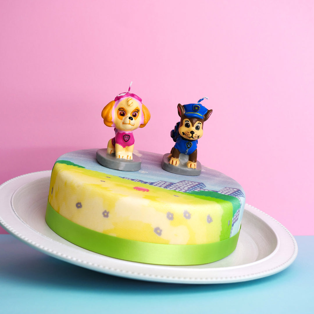 Paw Patrol® på färgglad ängtårta
