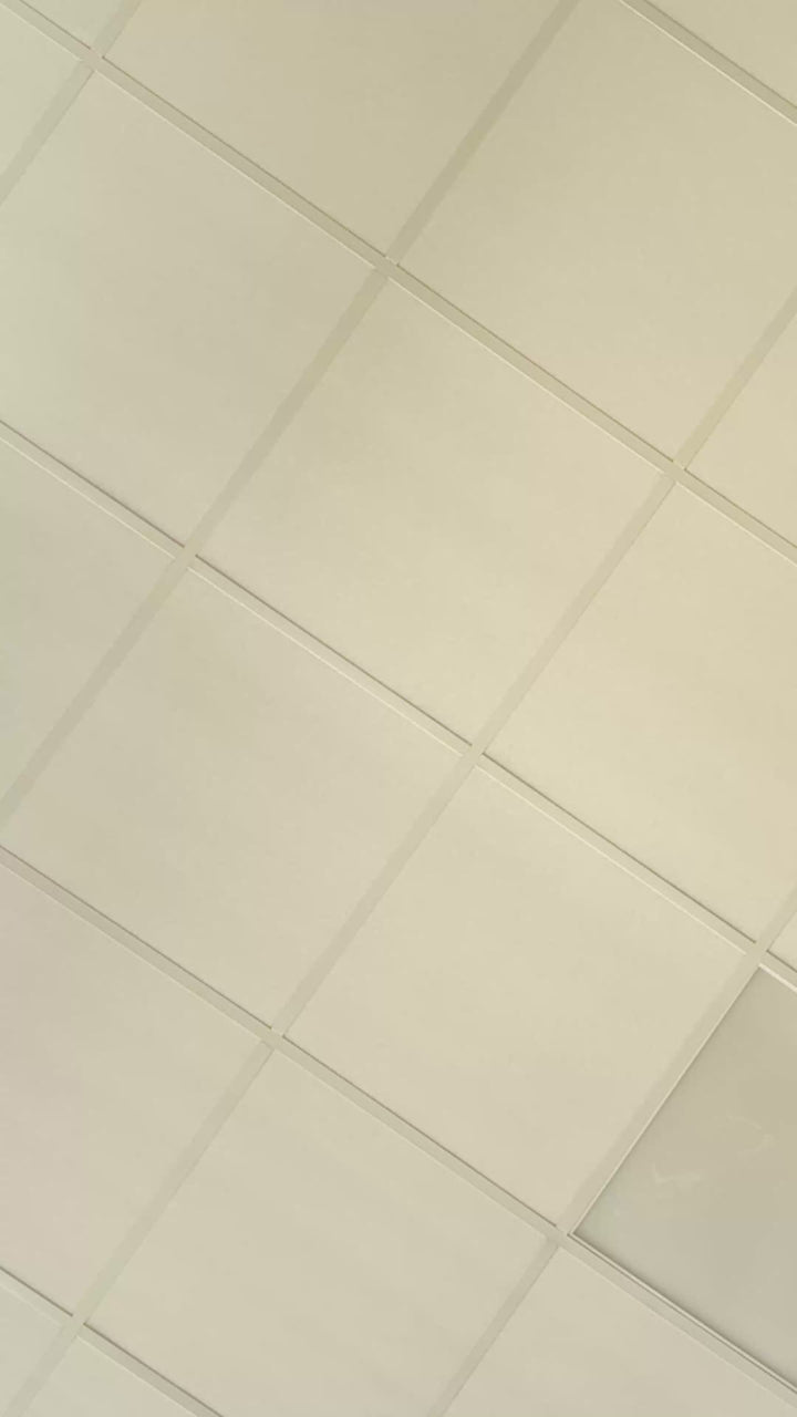 Rosa skolryggsäckskakor (12 stycken)