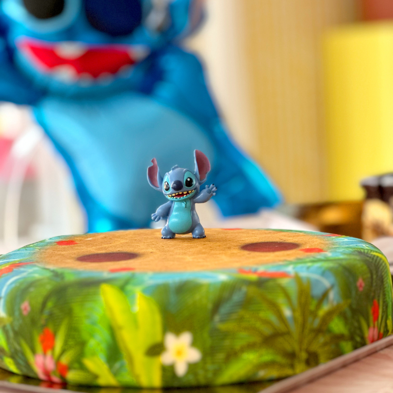 Stitch Bild